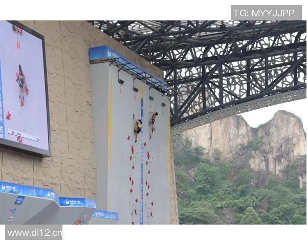 杭州攀岩队在世界攀岩锦标赛中的技术表现分析与点评 杭州攀岩队在世界攀岩锦标赛中的技术表现分析与点评